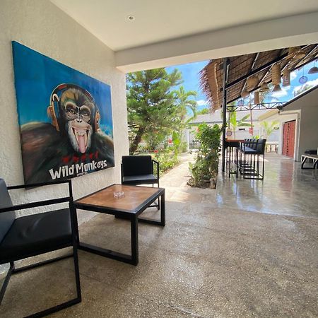 Wild Monkeys Hostel Moalboal Ngoại thất bức ảnh